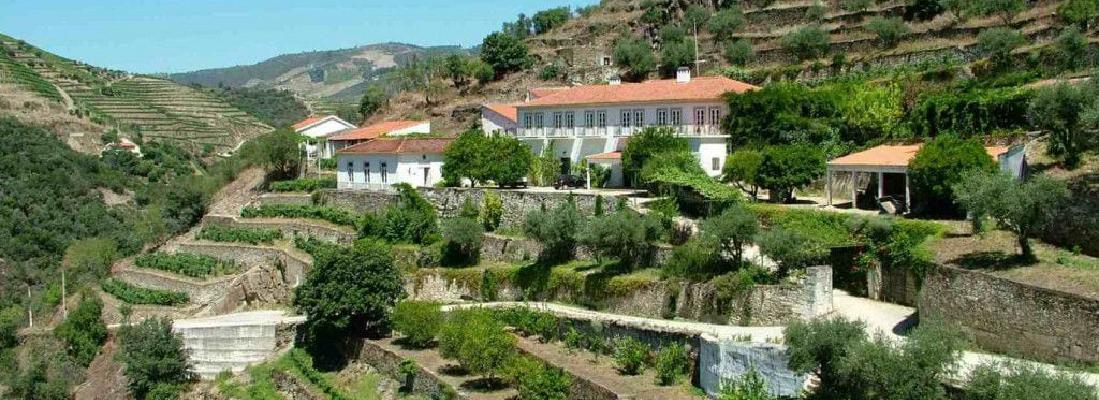 Quinta do Panascal