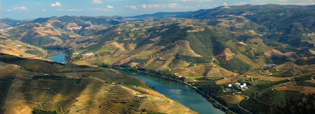 Peso da R&eacute;gua: Tudo o que n&atilde;o pode perder na Cidade do Vinho 2019
