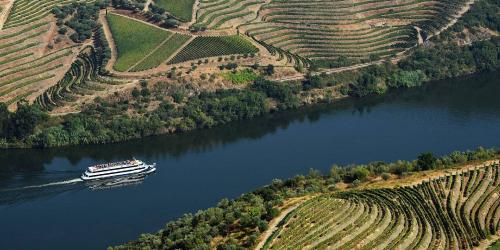 Subida do Douro de Barco e Descida em Autocarro: Porto - R&eacute;gua