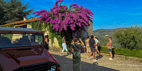 Tour - Um dia no Douro