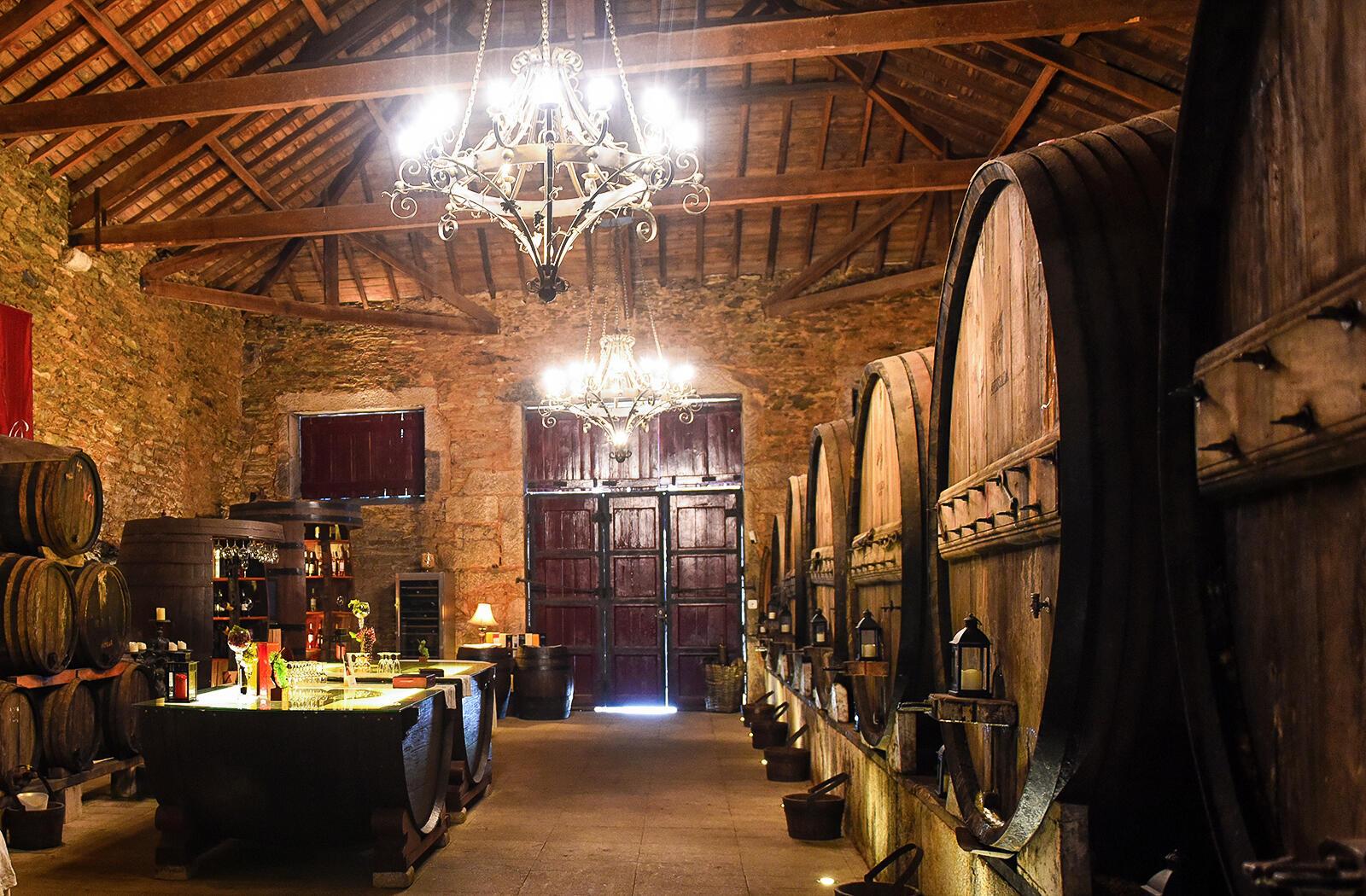 VINDIMAS NA QUINTA DA AVESSADA - 5