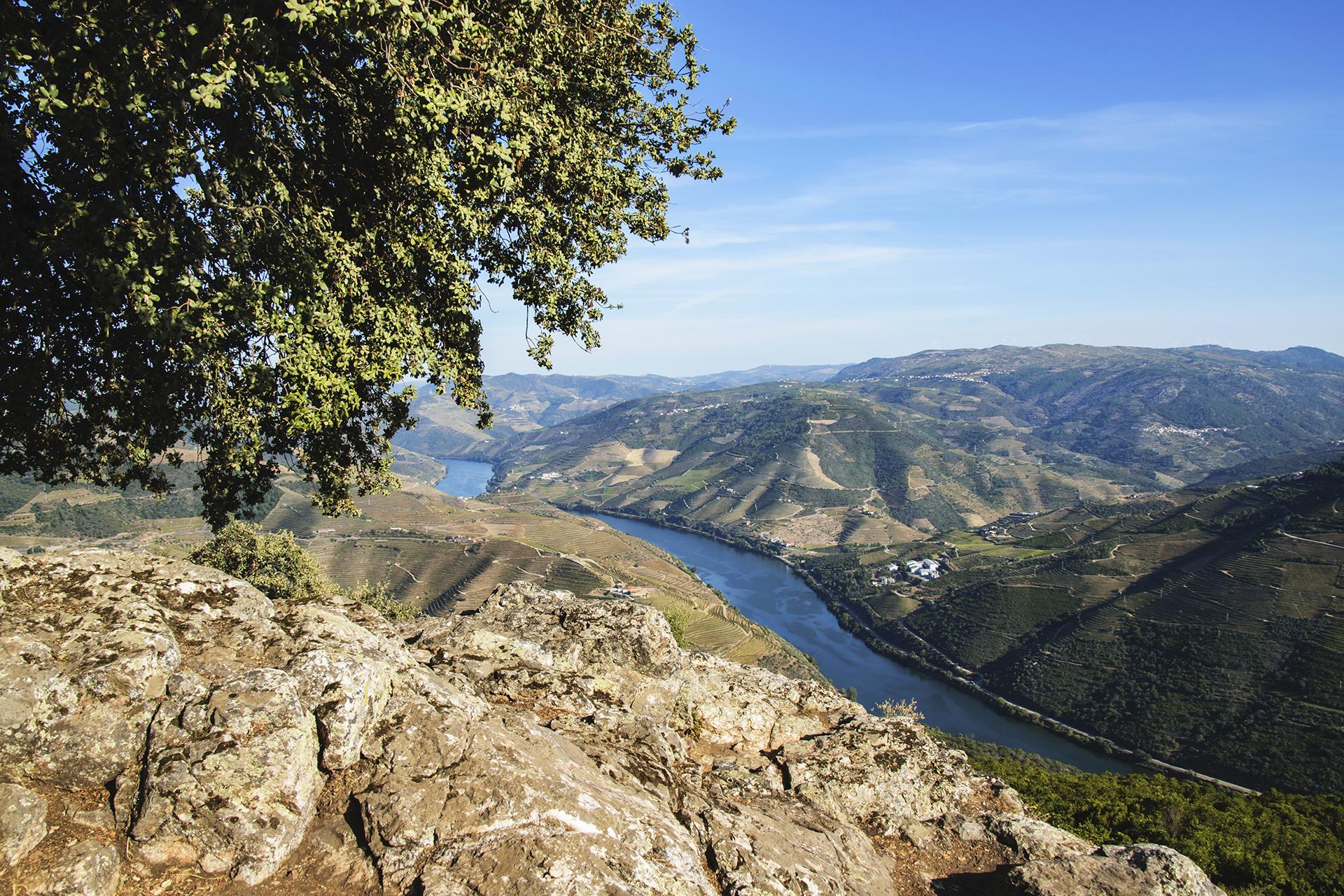 Subida do Douro de Barco e Descida em Autocarro: Porto - R&eacute;gua - 4