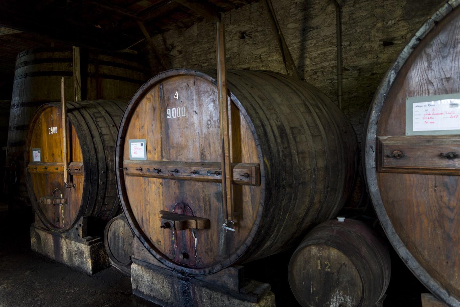 DOURO SUBLIMADO: OUTONO E INVERNO - 5