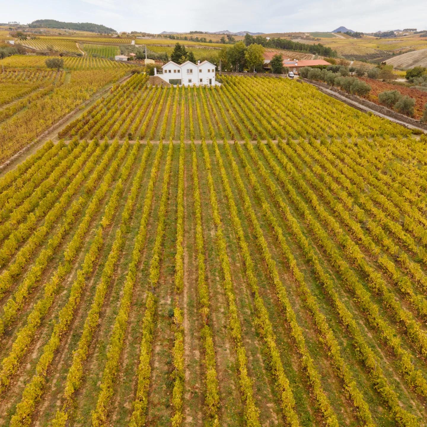 Douro Cl&aacute;ssico - 2